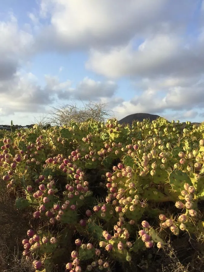 Corralejo Sun 114公寓