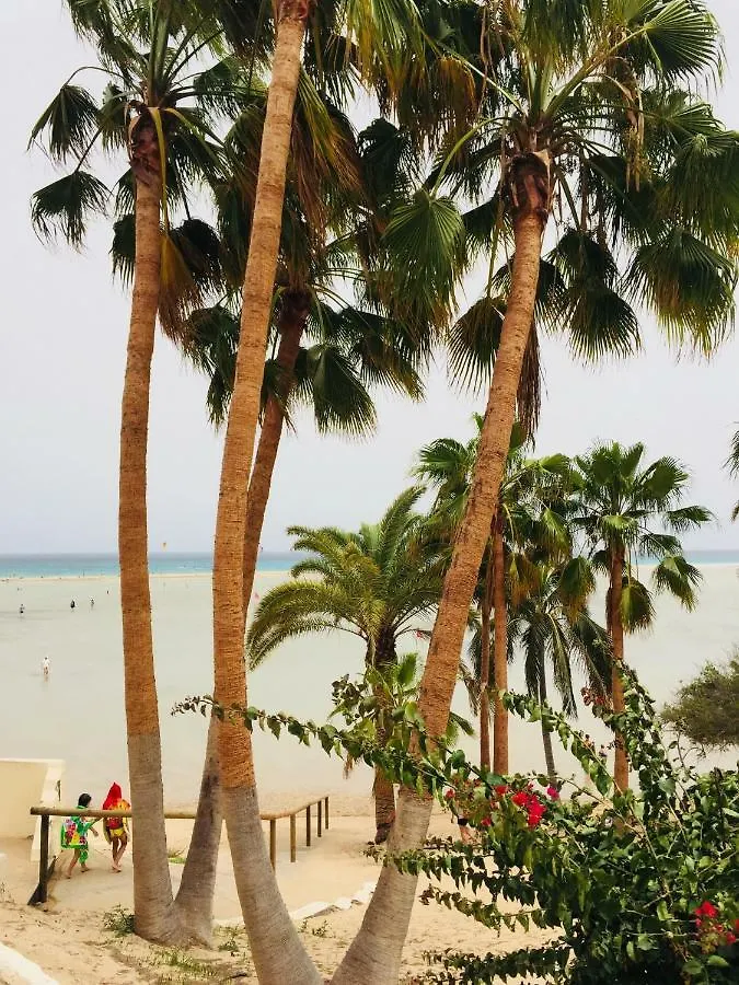 公寓 Corralejo Sun 114公寓